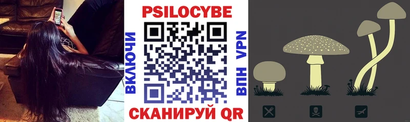 kraken как зайти  Оленегорск  Псилоцибиновые грибы Psilocybine cubensis 